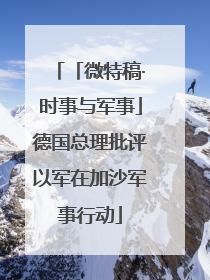 「微特稿·时事与军事」德国总理批评以军在加沙军事行动