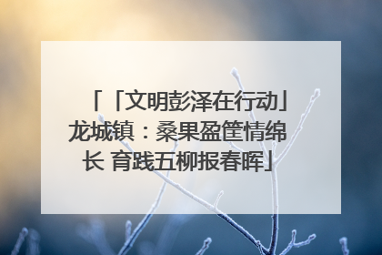 「文明彭泽在行动」龙城镇：桑果盈筐情绵长 育践五柳报春晖