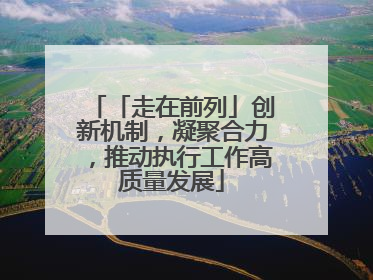 「走在前列」创新机制，凝聚合力，推动执行工作高质量发展
