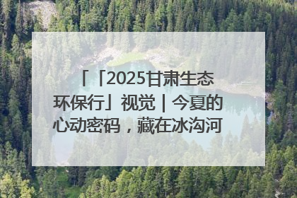 「2025甘肃生态环保行」视觉｜今夏的心动密码，藏在冰沟河的潋滟波光里
