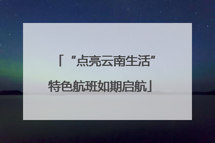 “点亮云南生活”特色航班如期启航