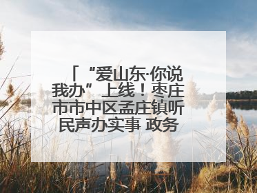 “爱山东·你说我办”上线！枣庄市市中区孟庄镇听民声办实事 政务服务暖心升级