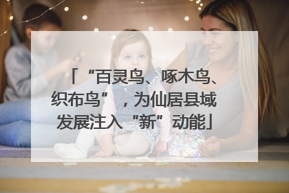 “百灵鸟、啄木鸟、织布鸟”，为仙居县域发展注入“新”动能