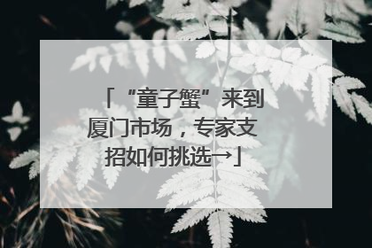 “童子蟹”来到厦门市场，专家支招如何挑选→