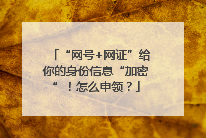 “网号+网证”给你的身份信息“加密”！怎么申领？
