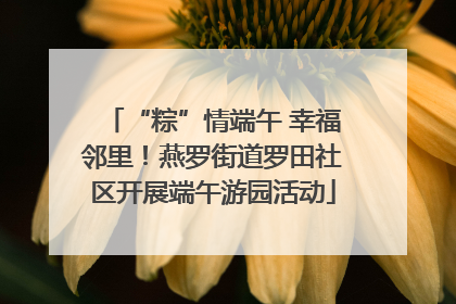 “粽”情端午 幸福邻里！燕罗街道罗田社区开展端午游园活动