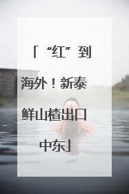 “红”到海外！新泰鲜山楂出口中东