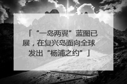 “一岛两翼”蓝图已展，在复兴岛面向全球发出“杨浦之约”