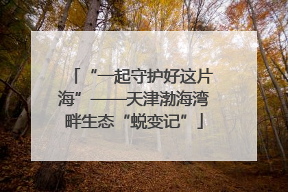 “一起守护好这片海”——天津渤海湾畔生态“蜕变记”