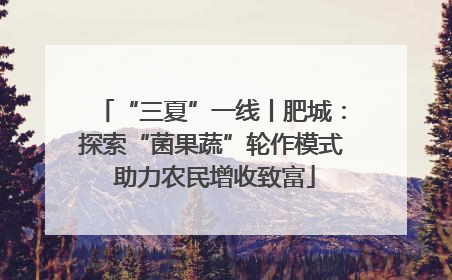 “三夏”一线丨肥城：探索“菌果蔬”轮作模式 助力农民增收致富