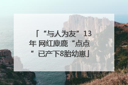 “与人为友”13年 网红麋鹿“点点”已产下8胎幼崽