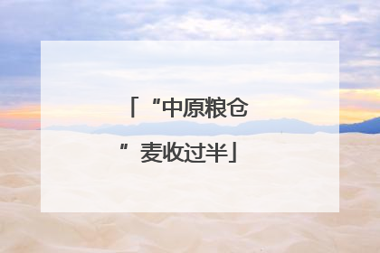 “中原粮仓”麦收过半
