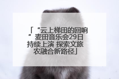 “云上梯田的回响”麦田音乐会29日持续上演 探索文旅农融合新路径