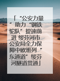 “公安力量”助力“钢铁驼队”提速前进 绥芬河市公安局全力保障中欧班列“东通道”绥芬河隧道贯通