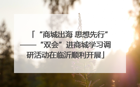 “商城出海 思想先行”——“双会”进商城学习调研活动在临沂顺利开展