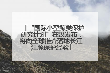 “国际小型鲸类保护研究计划”在汉发布，将向全球推介落地长江江豚保护经验