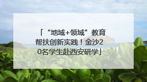 “地域+领域”教育帮扶创新实践！金沙20名学生赴西安研学