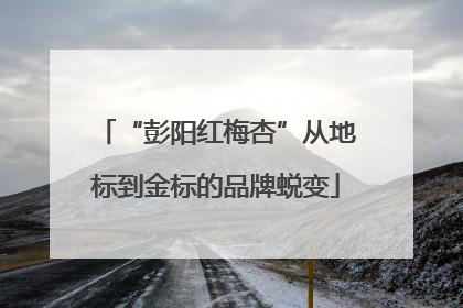 “彭阳红梅杏”从地标到金标的品牌蜕变