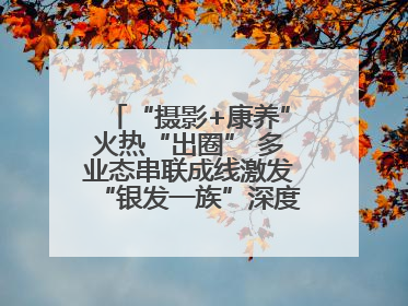“摄影+康养”火热“出圈” 多业态串联成线激发“银发一族”深度游潜力