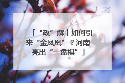 “政”解丨如何引来“金凤凰”？河南亮出“一盘棋”