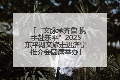 “文脉承齐鲁 携手赴东平”2025东平湖文旅走进济宁推介会圆满举办