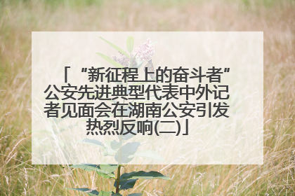 “新征程上的奋斗者”公安先进典型代表中外记者见面会在湖南公安引发热烈反响(二)