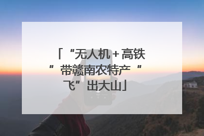“无人机＋高铁”带赣南农特产“飞”出大山