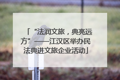 “法润文旅，典亮远方”——江汉区举办民法典进文旅企业活动