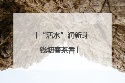 “活水”润新芽 钱塘春茶香
