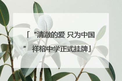 “清澈的爱 只为中国” 祥榕中学正式挂牌