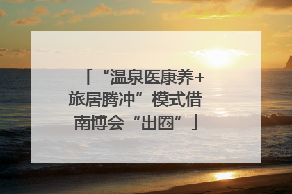 “温泉医康养+旅居腾冲”模式借南博会“出圈”