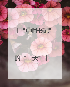 “草帽书记”的“一天”