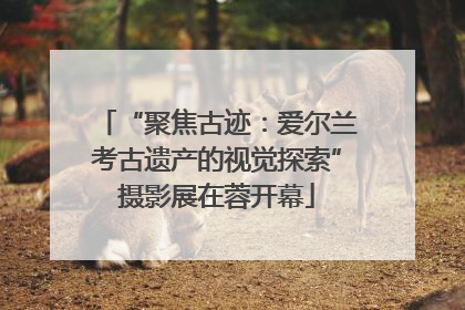 “聚焦古迹：爱尔兰考古遗产的视觉探索”摄影展在蓉开幕