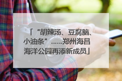 “胡辣汤、豆腐脑、小油条”……郑州海昌海洋公园再添新成员