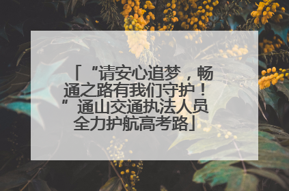 “请安心追梦，畅通之路有我们守护！”通山交通执法人员全力护航高考路