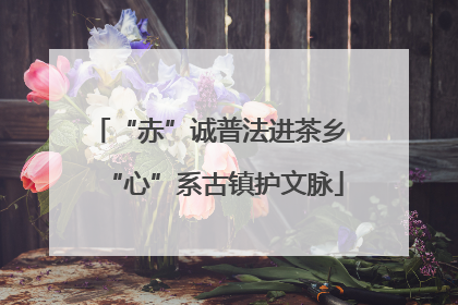“赤”诚普法进茶乡 “心”系古镇护文脉