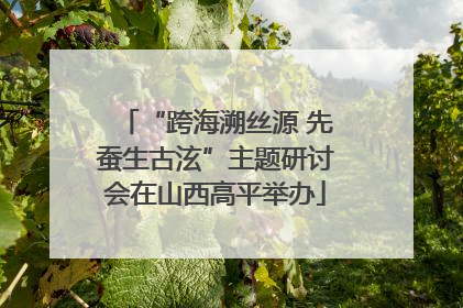“跨海溯丝源 先蚕生古泫”主题研讨会在山西高平举办