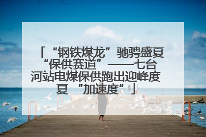 “钢铁煤龙”驰骋盛夏 “保供赛道”——七台河站电煤保供跑出迎峰度夏 “加速度”