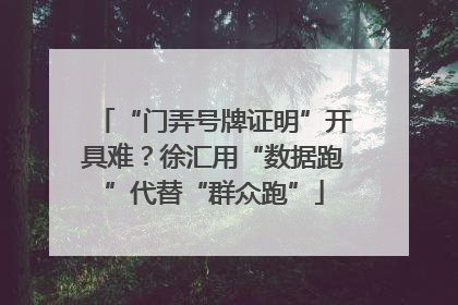“门弄号牌证明”开具难？徐汇用“数据跑”代替“群众跑”