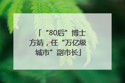 “80后”博士方靖，任“万亿级城市”副市长