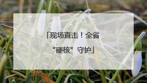 现场直击！全省“硬核”守护
