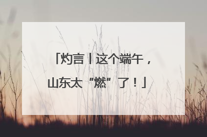 灼言丨这个端午，山东太“燃”了！