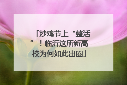 炒鸡节上“整活”！临沂这所新高校为何如此出圈