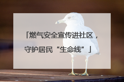 燃气安全宣传进社区，守护居民“生命线”