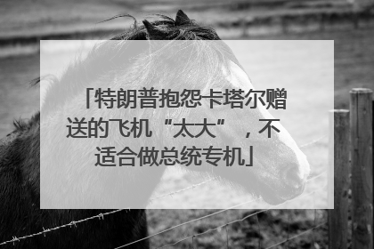 特朗普抱怨卡塔尔赠送的飞机“太大”，不适合做总统专机