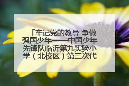 牢记党的教导 争做强国少年——中国少年先锋队临沂第九实验小学（北校区）第三次代表大会胜利召开