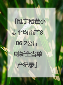 睢宁稻茬小麦平均亩产806.2公斤 刷新全省单产纪录