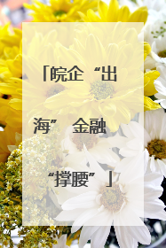 皖企“出海” 金融“撑腰”