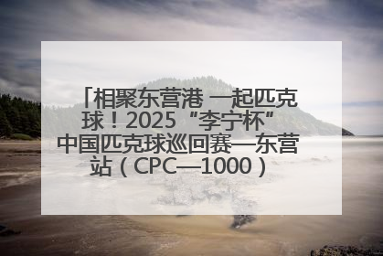 相聚东营港 一起匹克球！2025“李宁杯”中国匹克球巡回赛—东营站（CPC—1000）暨“好运山东”黄河口匹克球公开赛落幕