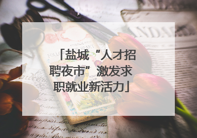 盐城“人才招聘夜市”激发求职就业新活力